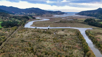 Urdaibaiko Erreserban jarri nahi den museoaren proiektua dago guzti honen gakoan.