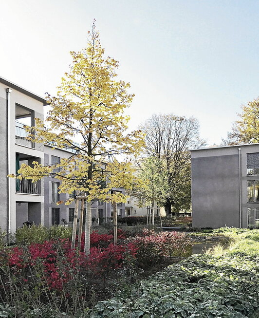 Belakien antzera ura xurgatuz egiten dute lan auzuneko lorategi sendoek.