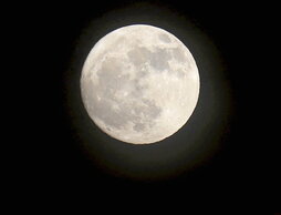 gara-2024-07-24-Noticia