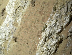 gara-2024-07-26-Noticia