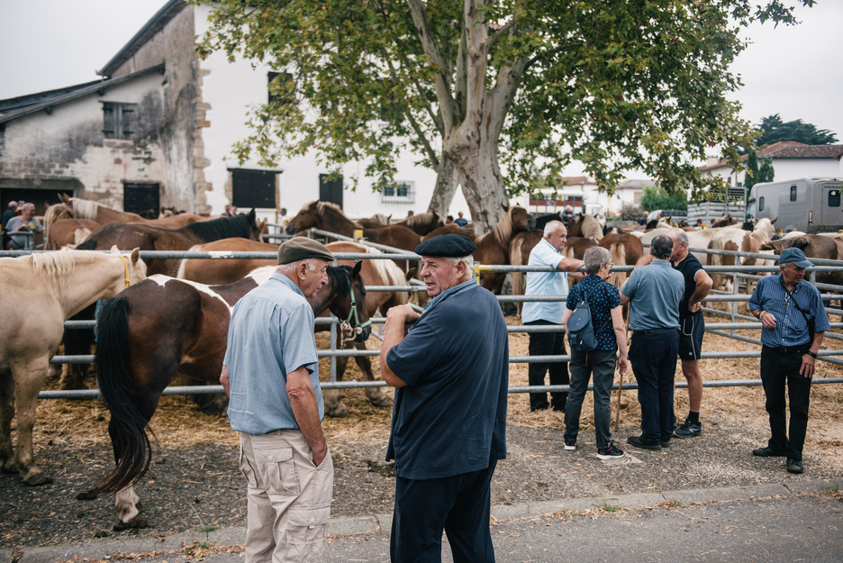 Foire de Garris 