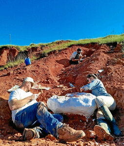 gara-2024-08-03-Noticia