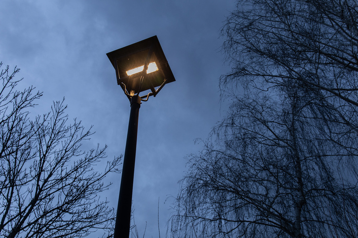 Las farolas que permanecen encendidas toda la noche endurecen las hojas de los árboles y dificultan la alimentación de los insectos. 