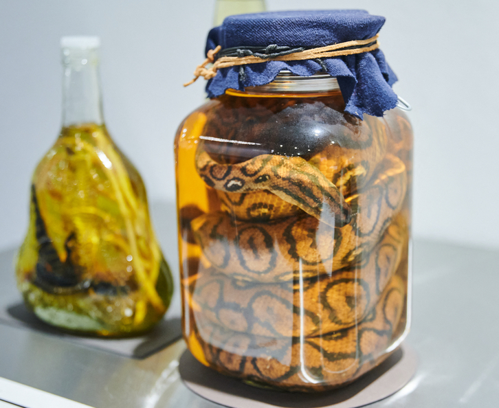 Una serpiente reposa en un vaso en el Museo de la Comida Asquerosa de Berlín, el museo contra el buen gusto.