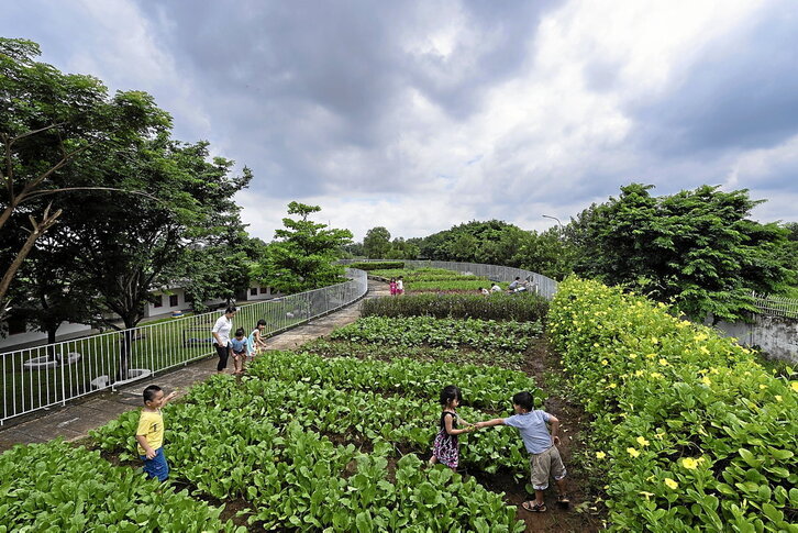 Irudietan, Vietnameko haur-eskola, VTN arkitektura bulegoak diseinatua. (Quang Tran - Hiroyuki Oki) 