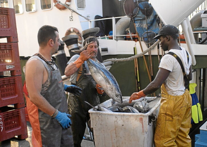 Descarga de bonito en un puerto vasco, en una imagen de una campaña anterior.