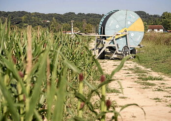 Les irrigants sont principalement en Amikuze.