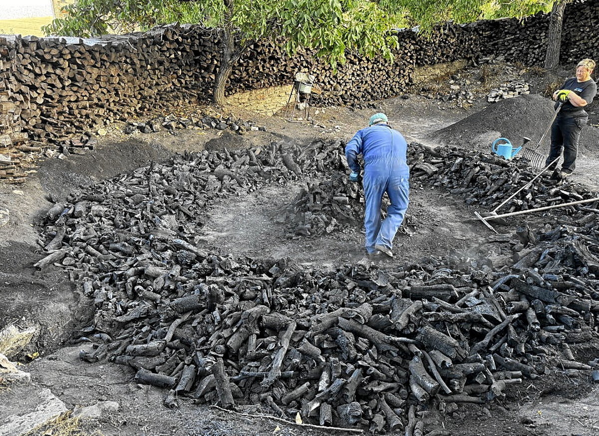 Arreba laguntzaile izaten du Jose Marik. (Josu OZAITA)