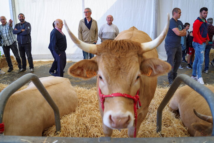 Fd-2024-10-03-bb_20221003253818