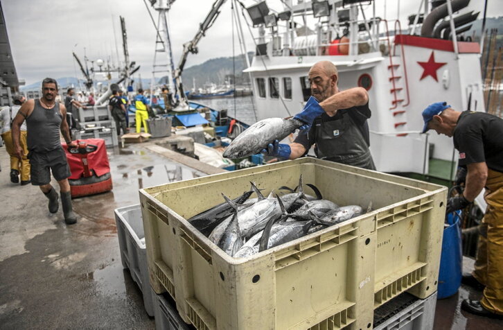 Hegalaburra deskargatzen, Getariako portuan, artxiboko irudi batean.