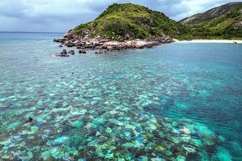 Coraless blanqueados y muertos alrededor de la isla Lizard, en la Gran Barrera de Coral, situada a 270 kilómetros al norte de la ciudad de Cairns, Australia.