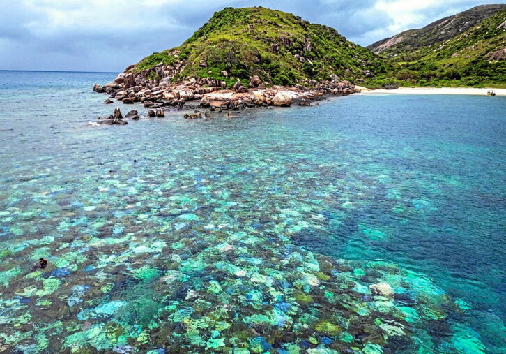 Corales blanqueados y muertos alrededor de la isla Lizard, en la Gran Barrera de Coral, situada a 270 kilómetros al norte de la ciudad de Cairns, Australia.