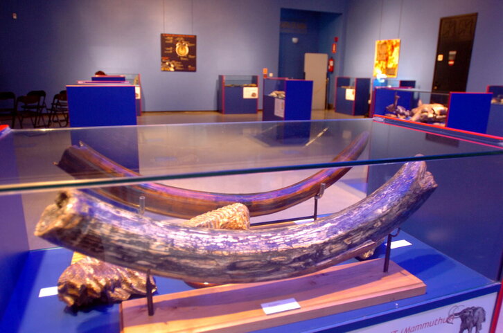 Fd-2024-10-10-kul_061010_2643