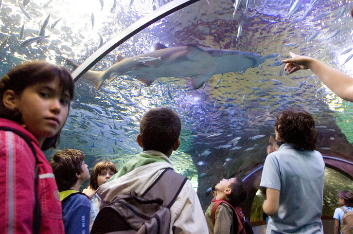 Fd-2024-10-10-kul_071010_1709