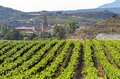 1003_p019_rioja