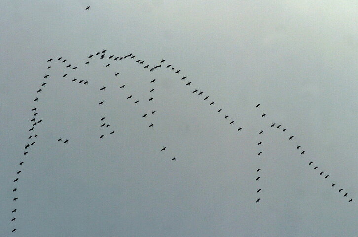 Fd-2024-10-17-nat_051017_0651