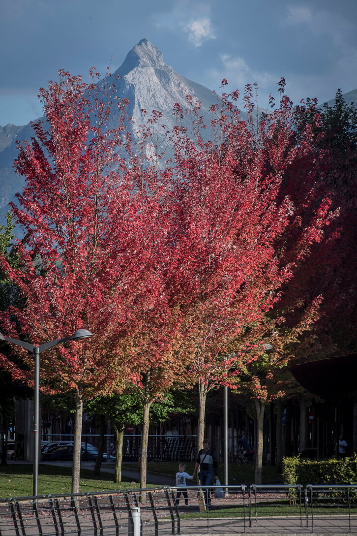 Fd-2024-10-17-nat181017_0073