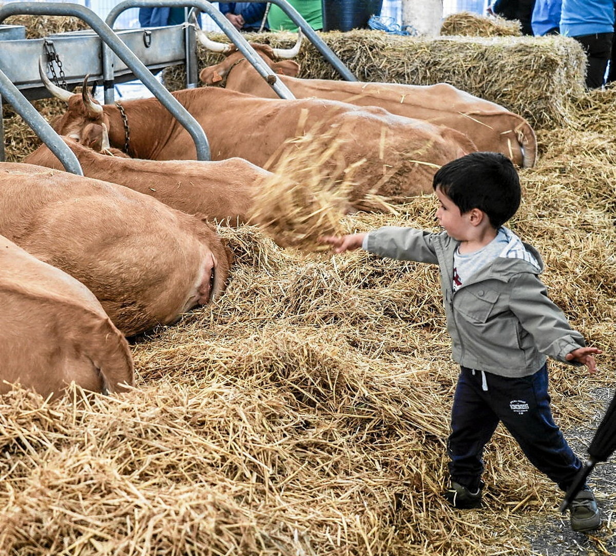 (Marisol RAMIREZ / FOKU)