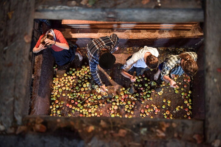 Fd-2024-10-21-giz171021_0016