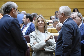 La portavoz del PP en el Senado, Alicia García, durante el pleno del pasado lunes.
