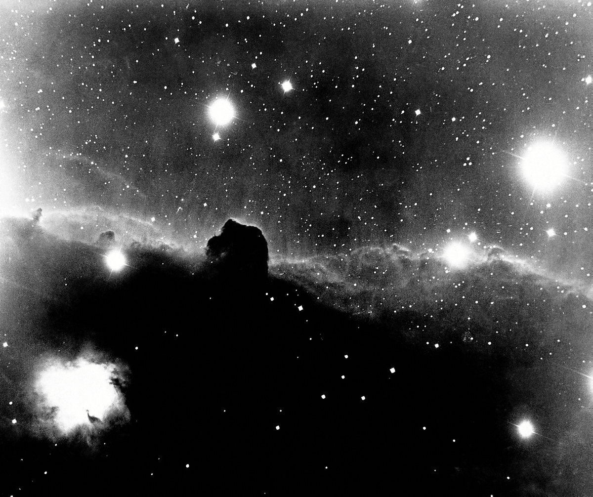 La nebulosa Cabeza de caballo, que fue avistada y descubierta por Williamina Fleming. (Schenectady Museum Association - Contributor - Getty Images)