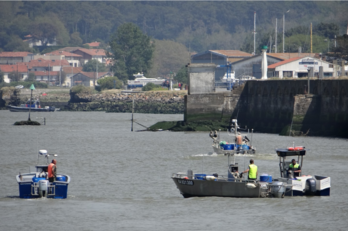 La pêche dans l’Adour maritime était un frein à la migration des saumons.