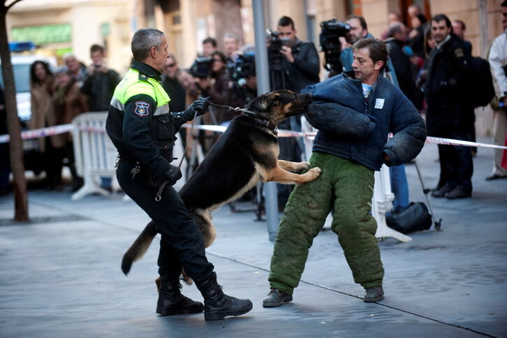 Fd-2024-12-10-pol_101210_0248