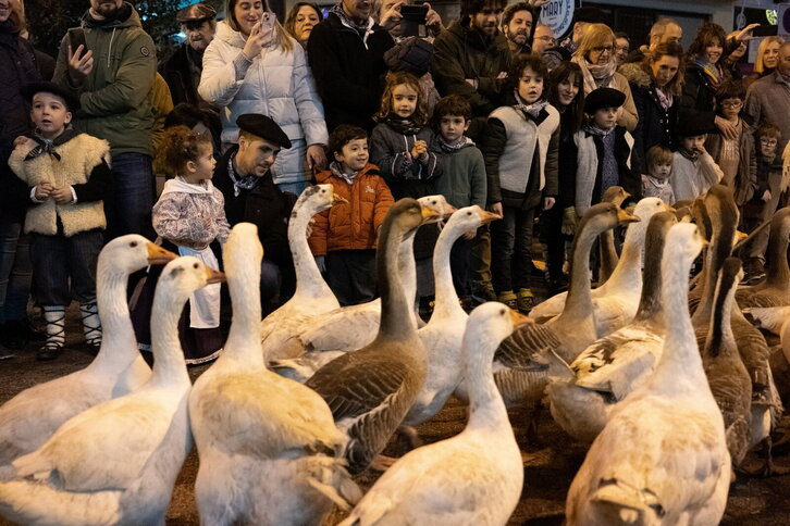 Fd-2024-12-24-aa_20231224049345