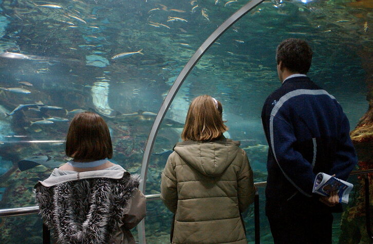 Fd-2024-12-30-nat_021230_0194