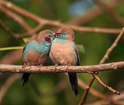 gara-2024-12-10-Noticia