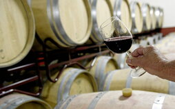 Son ya 96 las bodegas que han cerrado sus puertas desde el año 2015 en la Rioja Alavesa y más de 700 los puestos de trabajo que se han perdido.