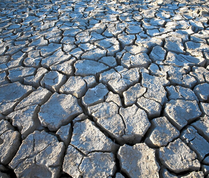 Gero eta lehorte gehiago egongo direla aurreikusi dute.