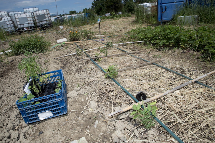 Baratzea prestatzen, artxiboko irudian.