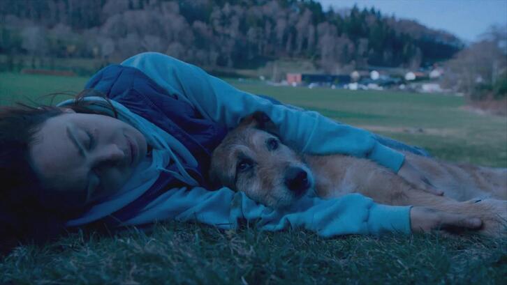 ‘Le procès du chien’ filmeko une bat.