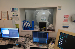 Basque Center on Cognition, Brain and Language (BCBL) ikerketa zentroa irudian.