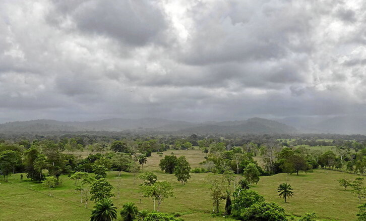 Karibeko lautada eta Darien mendilerroa zeharkatu behar dute migranteek oihanean barrena.