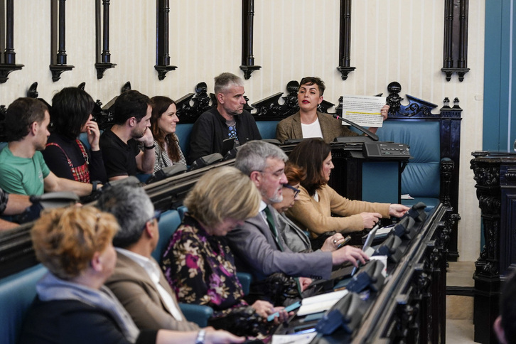 Arriba a la derecha, Rocío Vitero, portavoz de EH Bildu, en el pleno de este viernes.