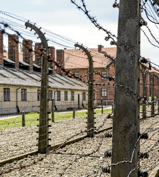 Auschwitz esparruaren irudia, alanbrezko hesiez inguratuta.