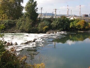 Gasa ekoizpenaren aroa atzean utzita, Lacquen ekoerregaien sektorea garatu nahi du E-CHOk.
