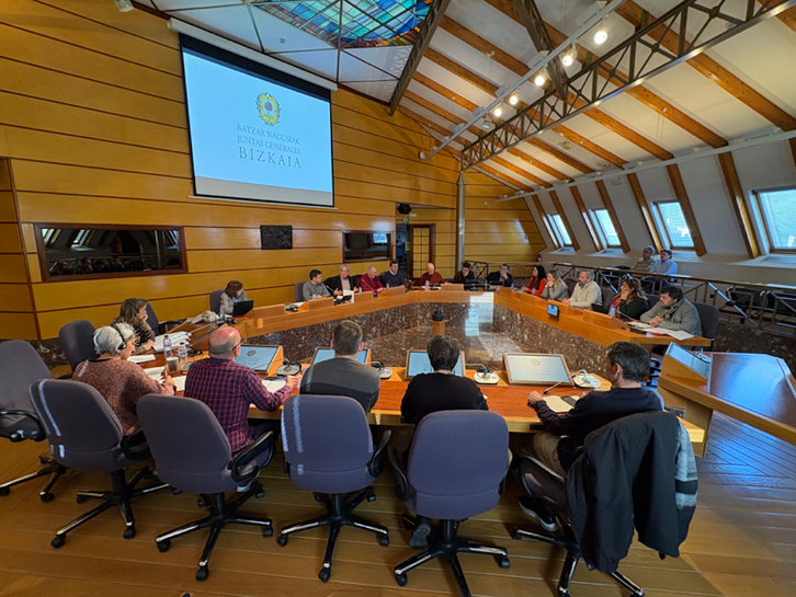 Comparecencia en comisión de las Juntas Generales de Bizkaia de representantes de Busturia Bizirik.