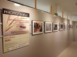 Photoformas lehikaetara aurkeztutako lanen inguruko erakusketa, irudian.