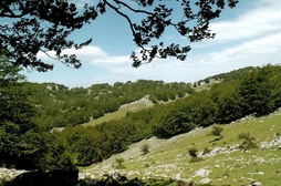 Gorbeiako Parke Naturala, Estatuko ‘Helmuga Natural Onena’ sarietarako bozketa zabaldu dute.