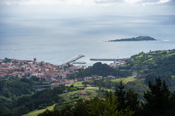 Programak trebetasun profesionalak garatzeko laguntza emango du.