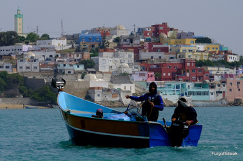 Arrantzalrak Merya Zerga hezegunean