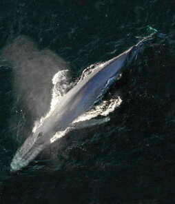 gara-2025-02-08-Noticia