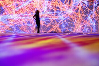 Teknologiaren eremuan ere nabarmena da genero arrakala. 