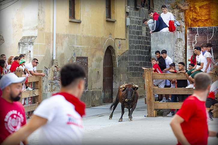 Esta estampa no tendrá lugar este año en fiestas de Agoitz.