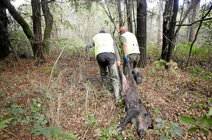 La CAV ha perdido una de cada cinco licencias de caza en poco más de una década.