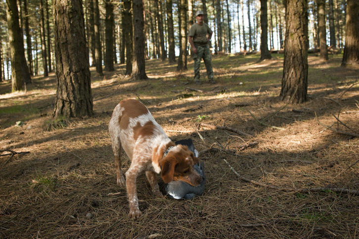 Escena de caza en Jaizkibel.