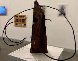 Amarica aretoko erakusketaren irudia.